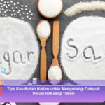 Tips-Kesehatan-Harian-untuk-Mengurangi-Dampak-Polusi-terhadap-Tubuh