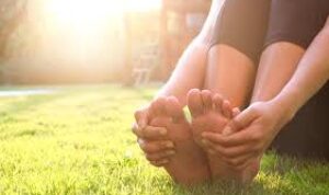 download - 2026-01-29T200029.210